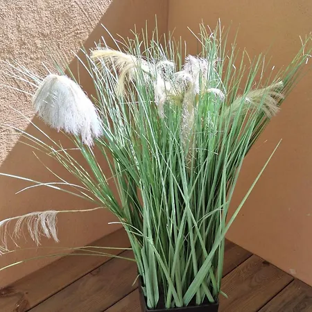 Zur Alten Scheune * Ochtendung