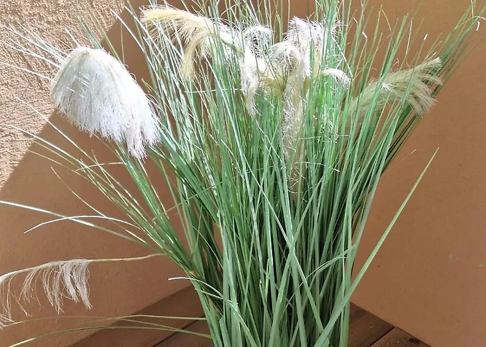 Zur Alten Scheune * Ochtendung